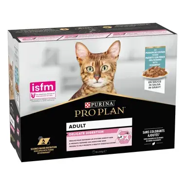 Pro Plan