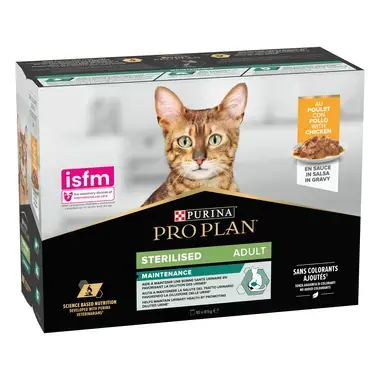 Pro Plan