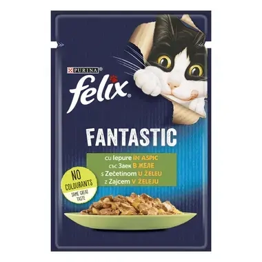 felix fantastic