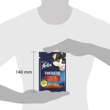 felix fantastic