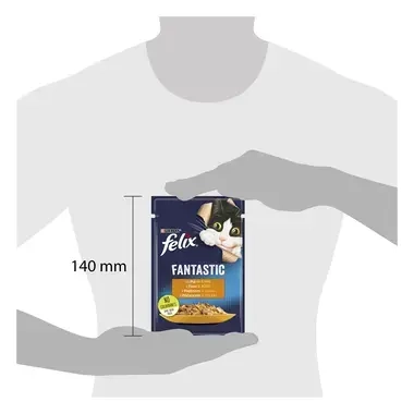 felix fantastic
