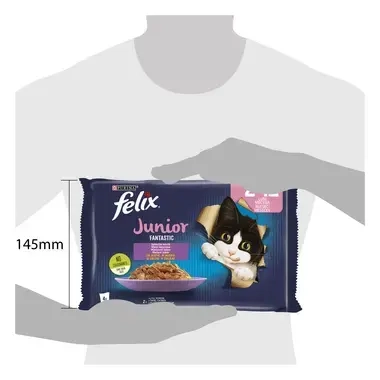 felix fantastic