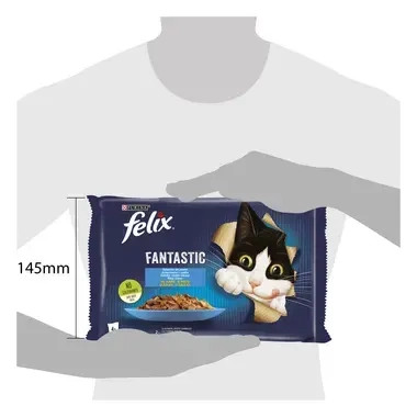 felix fantastic