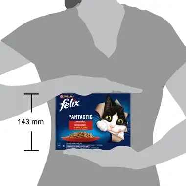 felix fantastic