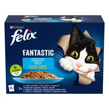 felix fantastic