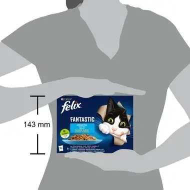 felix fantastic