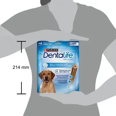 Dentalife
