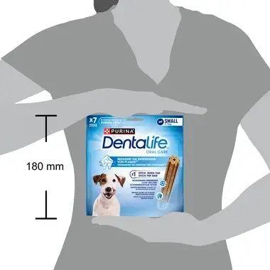Dentalife