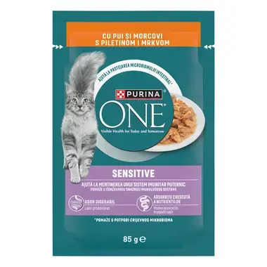 Purina One 