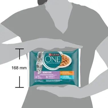 Purina One 