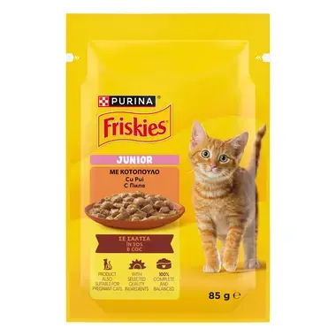 Friskies  junior