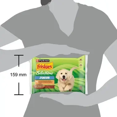 Friskies junior