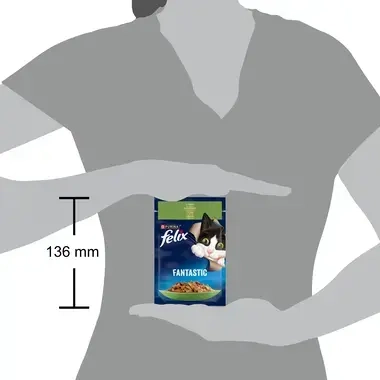 felix fantastic iepure