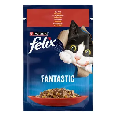 felix fantastic vita