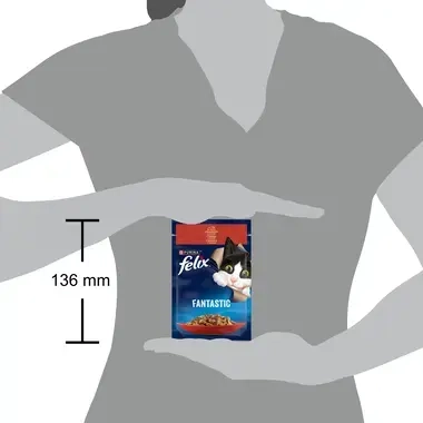 felix fantastic vita