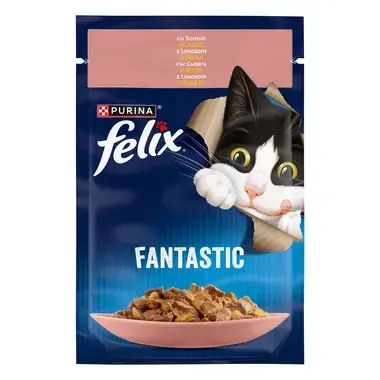 felix fantastic somon
