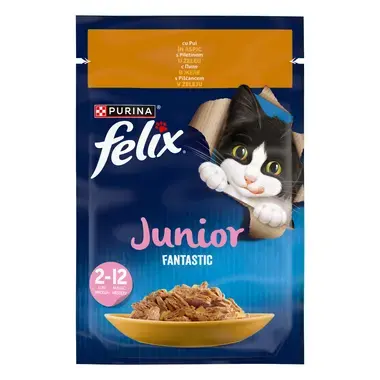 felix fantastic junior