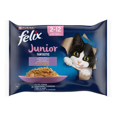 felix fantastic junior