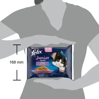felix fantastic junior