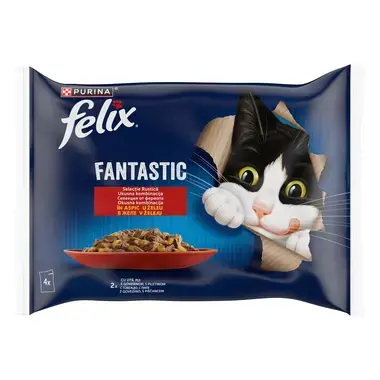felix fantastic vita