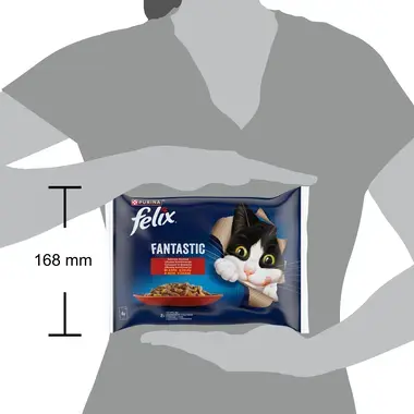 felix fantastic vita