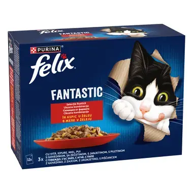 felix fantastic vita