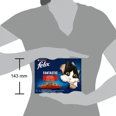felix fantastic vita