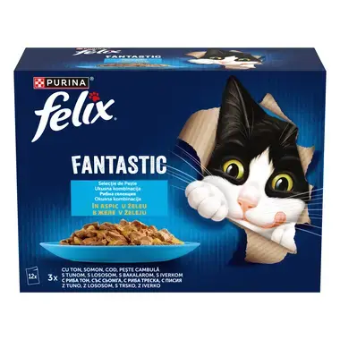 felix fantastic peste