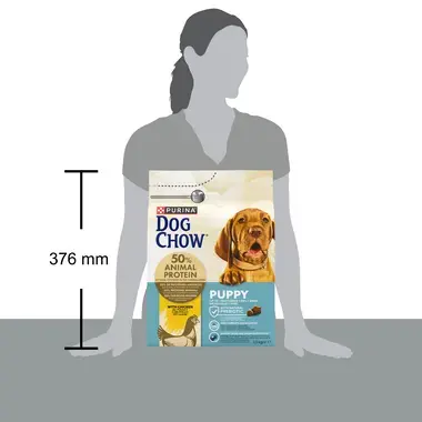 dog chow