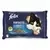 Felix Fantastic Somon si Platica