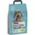 Purina