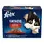 felix fantastic vita