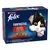 felix fantastic vita