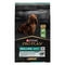 Purina
