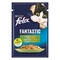 felix fantastic