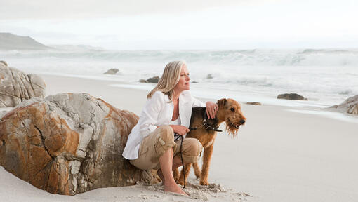 Airedale Terrier pe plajă cu persoană
