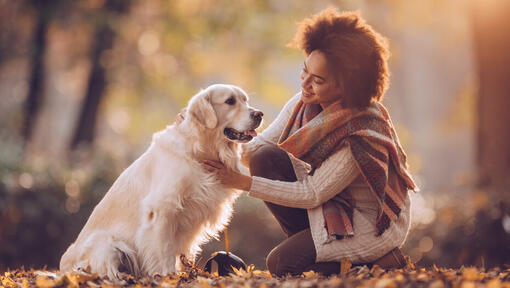 femeie cu un caine golden retriever in parc