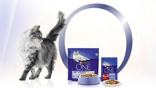 purina one inovație