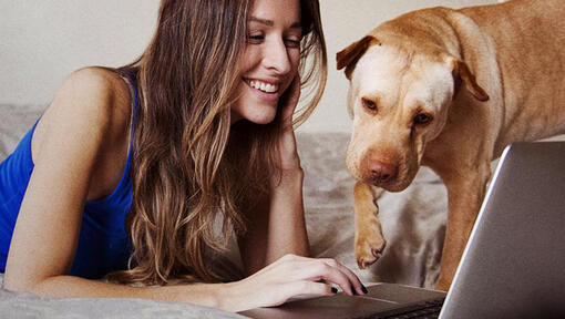 fată care se uită la laptop cu câinele ei