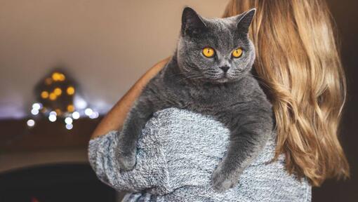 O femeie își ține în brațe animalul de companie - pisica British Shorthair