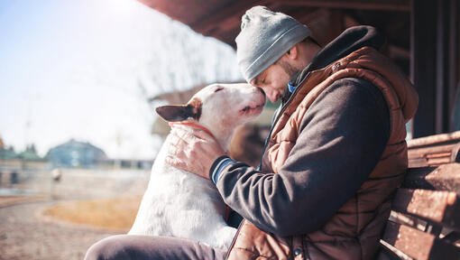 Bull Terrier cu proprietarul