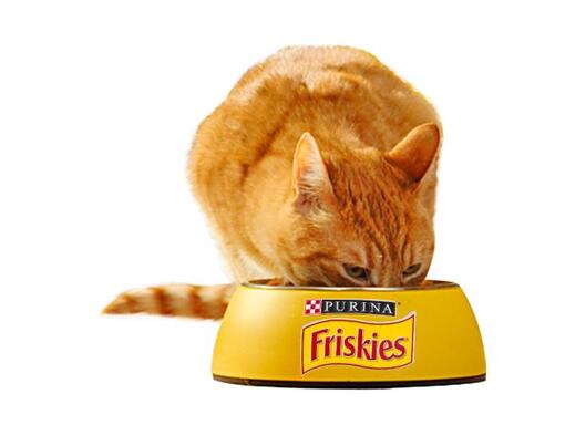 Pisica Friskies Adult