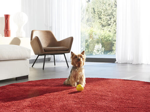 Purina ONE Dog Min grana pentru caini de talie mica