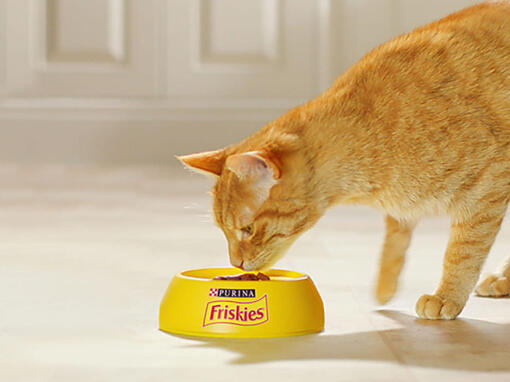 FRISKIES Cat hranire