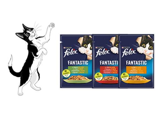 Felix Pisica