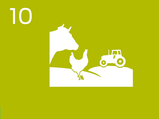 10 Infografic despre agricultură