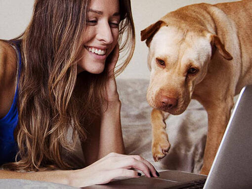 Femeie și câine la laptop