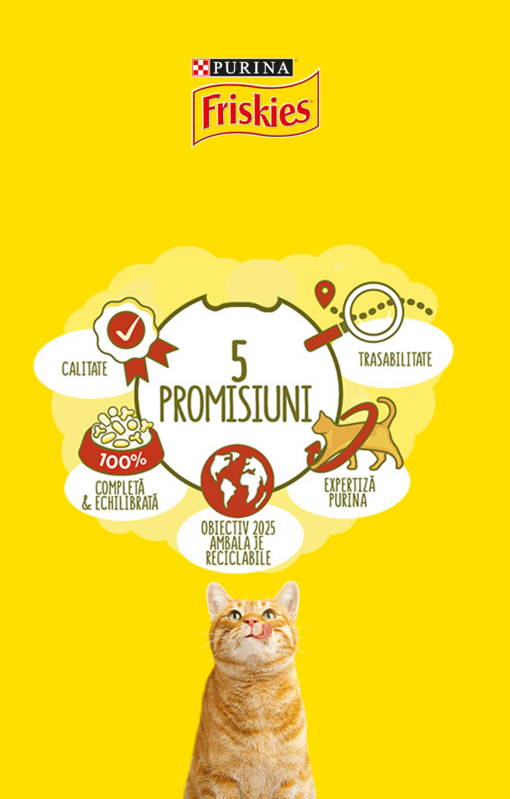 Purina Friskies Pisica 5 Promisiuni