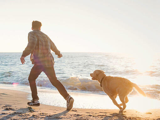 Bărbat care aleargă cu labradorul pe plajă