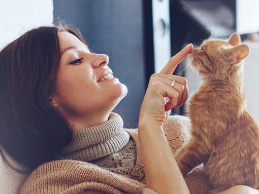 Femeie care atinge nasul unei pisici roșcate